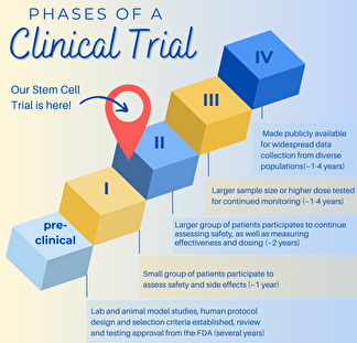 An infographic shows the steps of a clinical trial