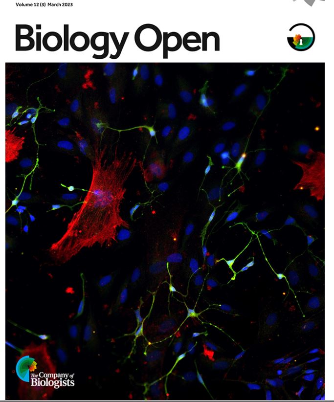 Tisch MSRCNY image on the cover of Biology Open!